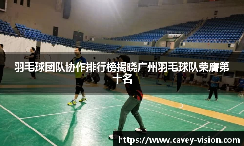 bsports登录入口