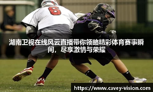 bsports登录入口