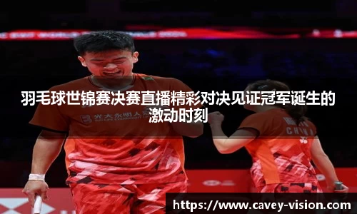 bsports登录入口