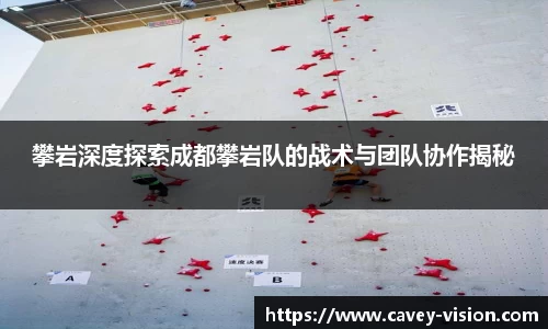 bsports登录入口