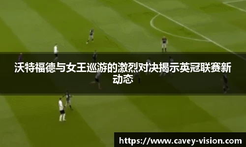 bsports登录入口