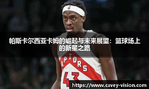 Bsports网页版